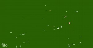 Explain in detail the main stages of fertilisation in human bei... | Filo