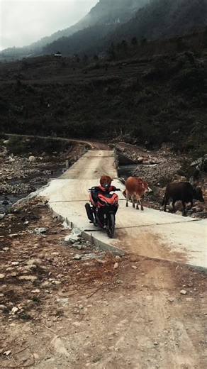 Tại sao 😪😪😫😫#rs150cc #xuhuong