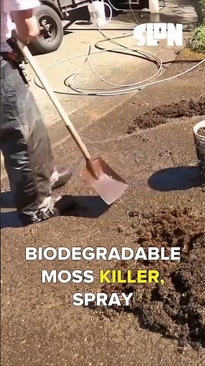 Effortless Driveway Moss Removal: Pre-Treat and Pressure Wash