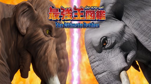 最強王図鑑 ～The Ultimate Battles～ 第6話 【スペシャルマッチ】スミロドン VS シベリアトラ | Hulu(フールー)