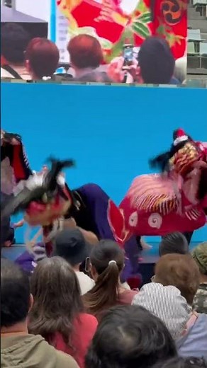 獅子王国さぬき獅子舞演舞