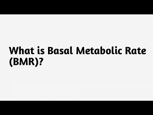 What is Basal Metabolic Rate ( BMR ) ?