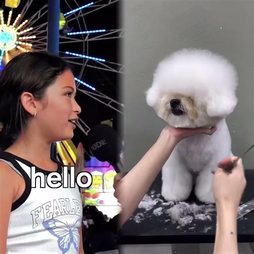 I went diving in the deepest pool in the world!