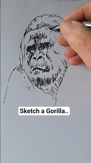 Gorilla sketching with a Pen