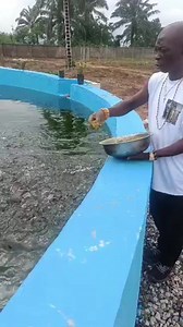 371 reactions · 21 shares | Adeyemo Simon on Reels | Facebook