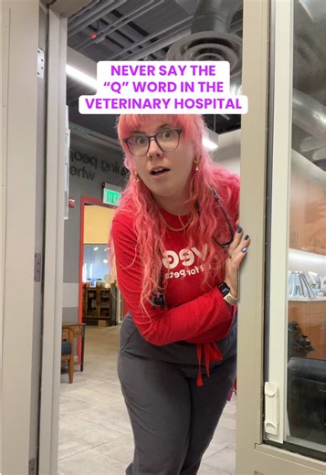 Never say the “Q word” in a veterinary hospital. Every ER tech just felt this in their bones. Vet med: what emergency would’ve popped up next? 🚨🩺 #VetMed #VetTok #EmergencyVet #OvernightShift #HealthcareHumor