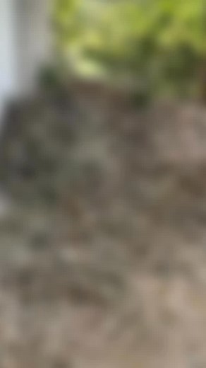 📦💥 Clearing the clutter, one load at a time! From junk removal to green waste, deliveries to demolition jobs — we handle it all so you don’t have to. Reliable, fast, and professional every time. Serving Brisbane to Coolangatta. Need a pickup or clean-up? Message us anytime! 🔧 A&S Junk Removal & Delivery 📞 0433 952 117 #ASJunkRemoval #GoldCoastServices #BrisbaneServices #LocalBusinessAU #RubbishRemoval #GreenWasteRemoval #DeliveryService #DemolitionJobs #QldTrades #SupportLocalQld | A&S Junk 