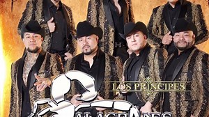 65K views · 1.6K reactions | Qué tal el Ahualulco? | Alacranes Musical | Facebook