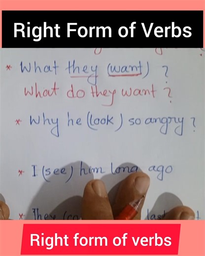 Right Form of Verbs | Zaed Learning World