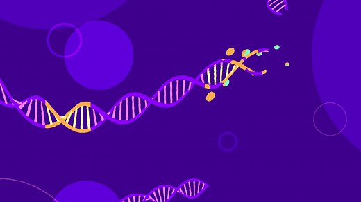 Where Do New Genes Come From?