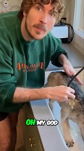 34K views · 254 reactions | Saving Her From The Pool!  | Joey Graceffa | Facebook