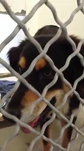 49 reactions · 50 shares | PRINCESS is incredible and even after a...