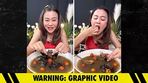 YouTuber Eats Bat On Camera, Faces 5 Years in Jail