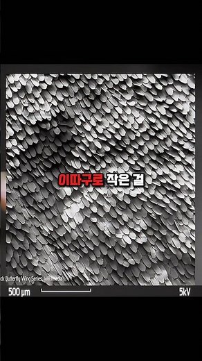나노미터를 관찰하는 현미경 원리