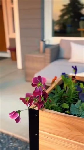 𝐒𝐮𝐜𝐜𝐞𝐬𝐬 𝐢𝐧 𝐭𝐡𝐞 𝐠𝐚𝐫𝐝𝐞𝐧 𝐬𝐭𝐚𝐫𝐭𝐬 𝐰𝐢𝐭𝐡 𝐪𝐮𝐚𝐥𝐢𝐭𝐲 𝐩𝐥𝐚𝐧𝐭𝐞𝐫𝐬 🪵 Certified Western Red Cedar 🌱 Chemical Free and Sustainable 🔧 Easy to Assemble ( ALL tools provided) 🥕 Promotes Healthier Plants ✅ Backed by 3-Year Warranty! Elevate Your Space Today! | Cedar Planters