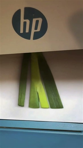 Copying A Whole Green Onion With HP Copier, Every Tiny Root Is Printed Clearly
