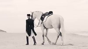 104K views · 6.2K reactions | Un cheval, c'est avant tout un animal plein de grâce. | CSO de merde | Facebook