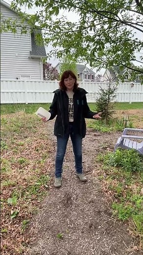 Feeding Squirrels and Chipmunks #backyardhabitat #conservation #biodiversity