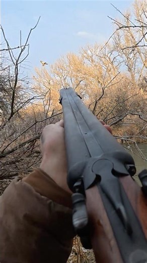 Drake mallard in the timber! #bwfilms #bw #duckhunting