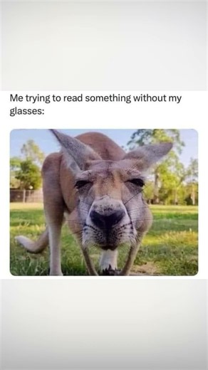 Most Hilarious Memes Pt9 #Memes #Shorts #Fyp #LOL #funny #comedy #entertainment #Memes #hilarious