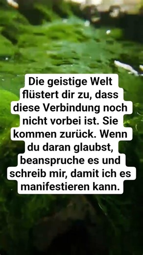 ‎#kartenlegen #tarot kartenlegen #shorts #kartenlegerin #orackel #orakelbotschaft #Berlin