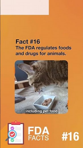 16. The FDA regulates foods and drugs for animals. #FDAfacts