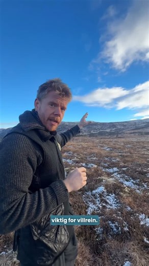 Miljøvernforbundet on Instagram: "Tiden for store hytte prosjekter er definitivt forbi, og prosjektet Eidfjord Resort bør skrinlegges permanent. At man i 2025 kan jobbe intensivt for å få etablert et gigantisk hytteområde helt opp i villreinens rike er for oss i Miljøvernforbundet helt uforståelig. Vi har jobbet mot prosjektet siden start og kommer ikke til å gi oss. Hva mener du, er 5-700 nye hytter i Sysendalen og med nytt skitrekk rett opp i villreinens rike en god ide? Les mer om saken og bl