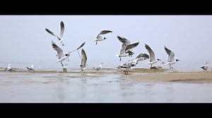 With room to spread your wings, there's no limit to what you can see and do. This is Coastal Mississippi: The Secret Coast. | Coastal Mississippi