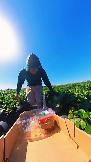 Exploring Santa Maria, California: A Local’s Guide