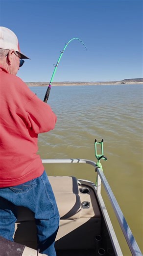 Hooking up on some really nice catfish out on Elephant Butte Lake. davesfishingguideservices.com #davesfishingguideservices #NM #rippinlips #outdoors #fishing #catfish #monsterrodholders | Dave's Fishing Guide Services