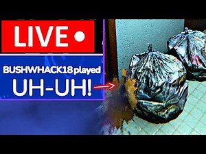 Meme Chaos In A New Scary Game! LIVE!
