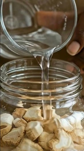 Marshmallow Root Magic! See What Happens