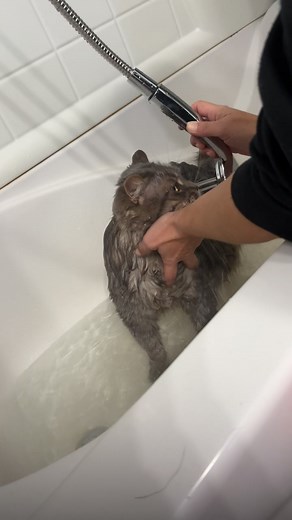 1K views · 14 reactions | Kylie Lynne Kitchenhoff on Reels | Facebook