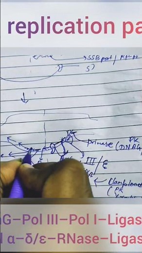 DNA replication Part -4 #shortsfeed #shortvideo #shorts