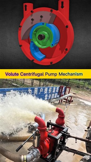 Volute Centrifugal Pump Working Animation Showing Impeller, Water Flow Path, Pressure Build-Up