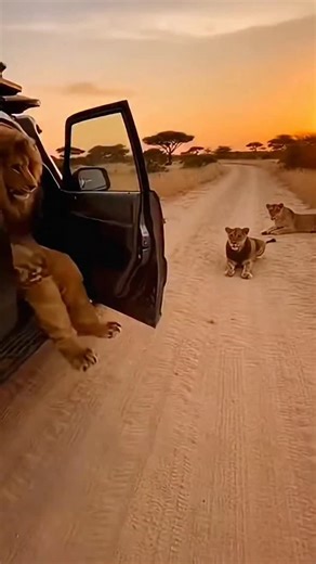 Ai animal King 👑 on Instagram: "Japan is turning footsteps into electricity using piezoelectric tiles. Every step creates a small amount of energy, and millions of steps together power LED lights and digital systems-supporting a more sustainable urban future.⚡ #Japan #FutureTechnology #RenewableEnergy #SmartCity #Innovation 🌱"