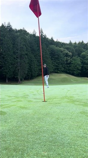 12⛳️