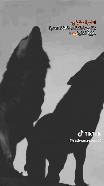 Wolves in Grayscale: Nature's Hidden Dangers Revealed