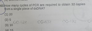 63. H How many cycles of PCR are required to obtain 32 copies f... | Filo