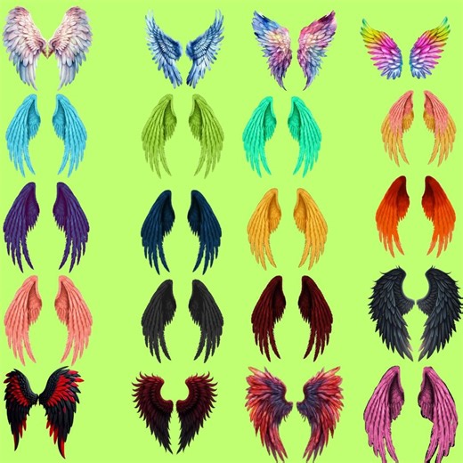 Angel Wing Clipart: Realistic Sticker Images, Commercial Use (digital Download) - Etsy