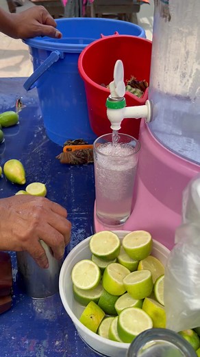 1.7M views · 3.4K reactions | 100% Fresh Instantly Lemonade Making - Bengali Street Food #reels #viralreels #trend #streetfood #foryou #reelsfb #reelsvide #food | TasteTube | Facebook