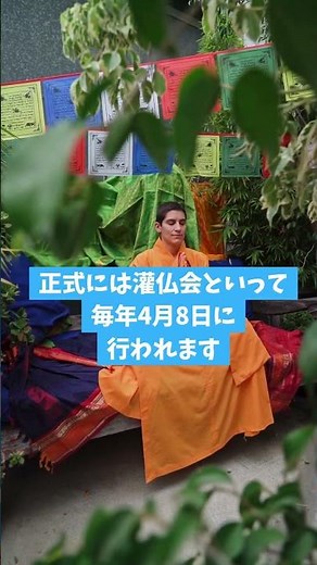What is the Hana Matsuri? A Buddhist spring celebration! What do they do? Why do they drink sweet...