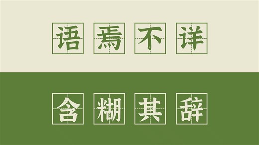 【高频成语 210】语焉不详和含糊其辞的区别（ 闪烁其词、捉襟见肘）