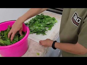 Natural Easy Homemade Celery Salt Making