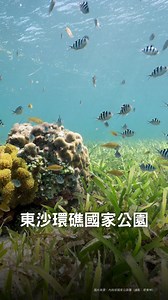 19K views · 961 reactions | Dongsha Atoll are renowned for their rich...