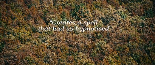 The Duke Of Burgundy - Trailer