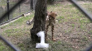 46K views · 4.7K reactions | 【☆HAPPY 1st BIRTHDAY☆】...