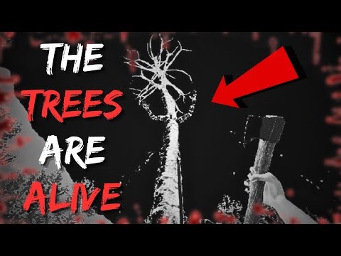 I Found a HIDDEN Horror Gem... [BloodBark]