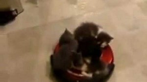 Check out the largest robot swarm ever