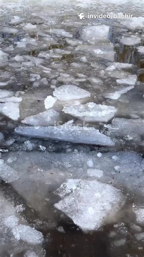 وش يصير لو كل المياه تجمدت فجأة؟ ❄️🌊